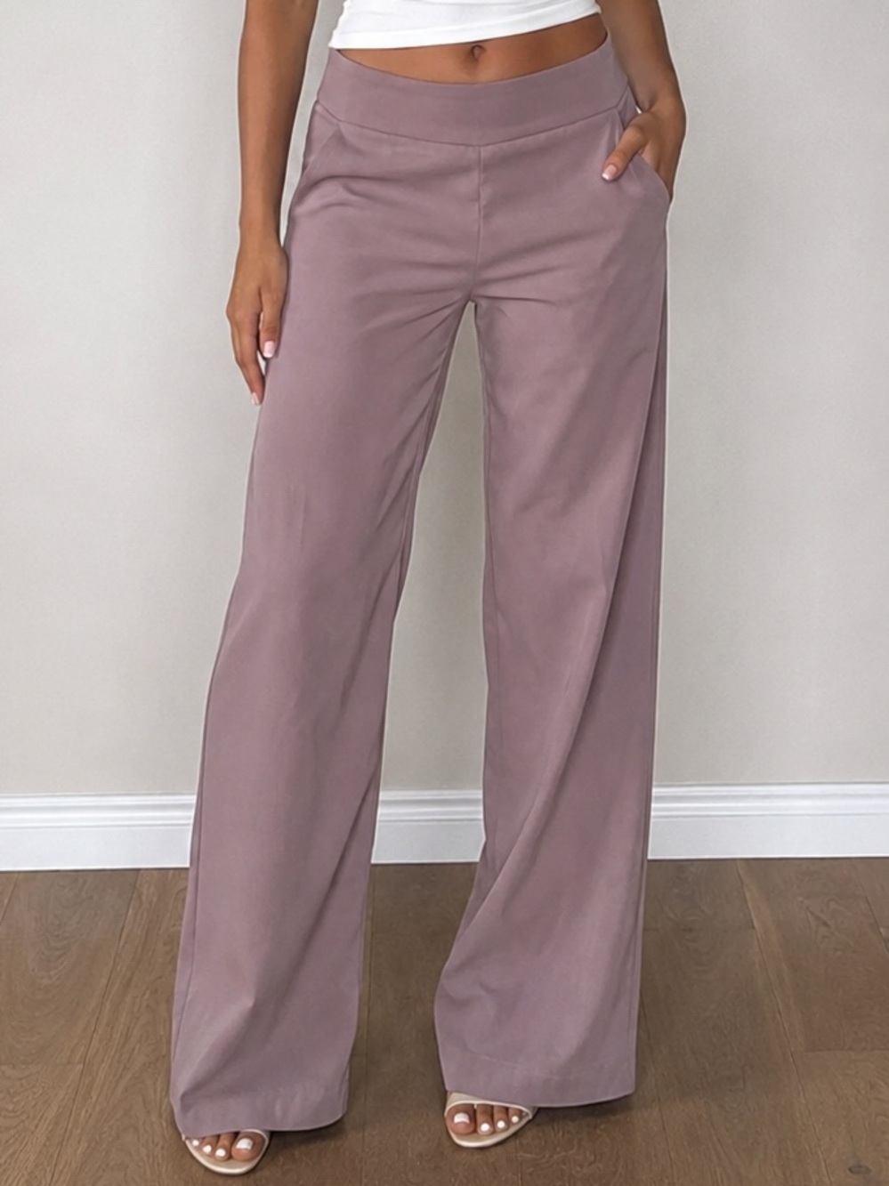 NWT Aritzia Babaton Lincoln Wide Leg High Rise Pants